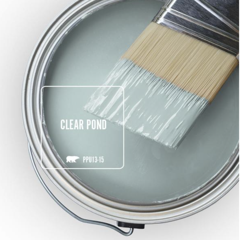 Clear Pond Eggshell Paint