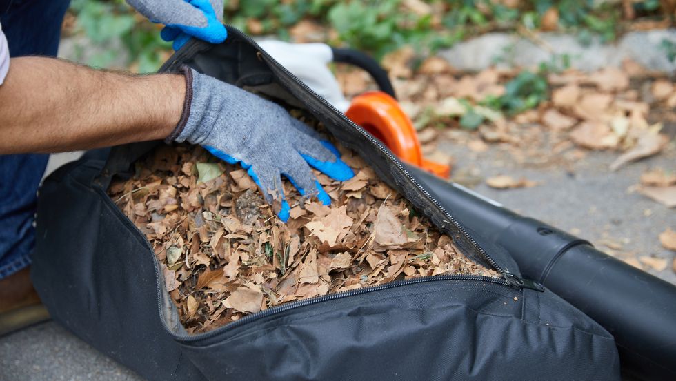 a good housekeeping expert checks the volume of collected leaves during leaf vacuum testing