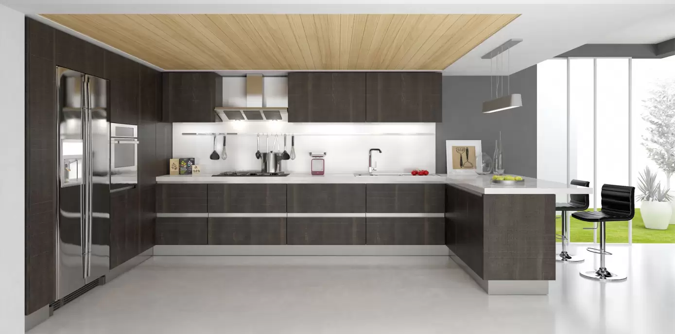 Laminates Kitchen Cabinet