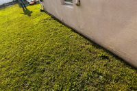 Grass cut using the WORX WR147 Landroid Robotic Lawn Mower