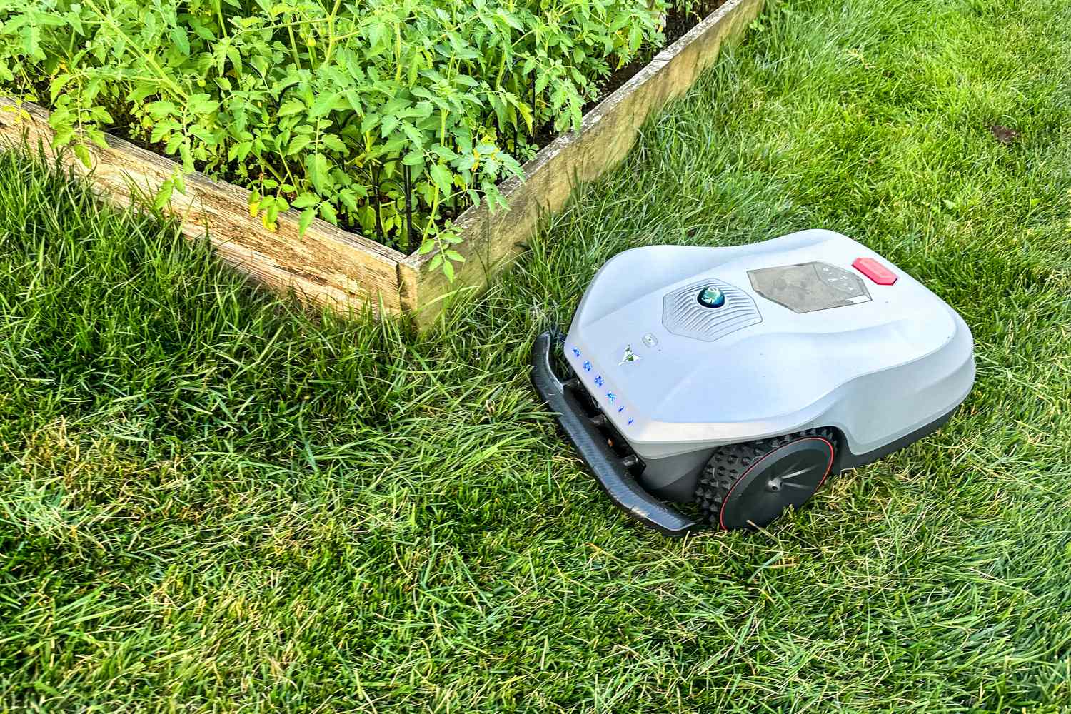 The Hookii Neomow X Pro Robotic Lawn Mower mows around a raised garden bed