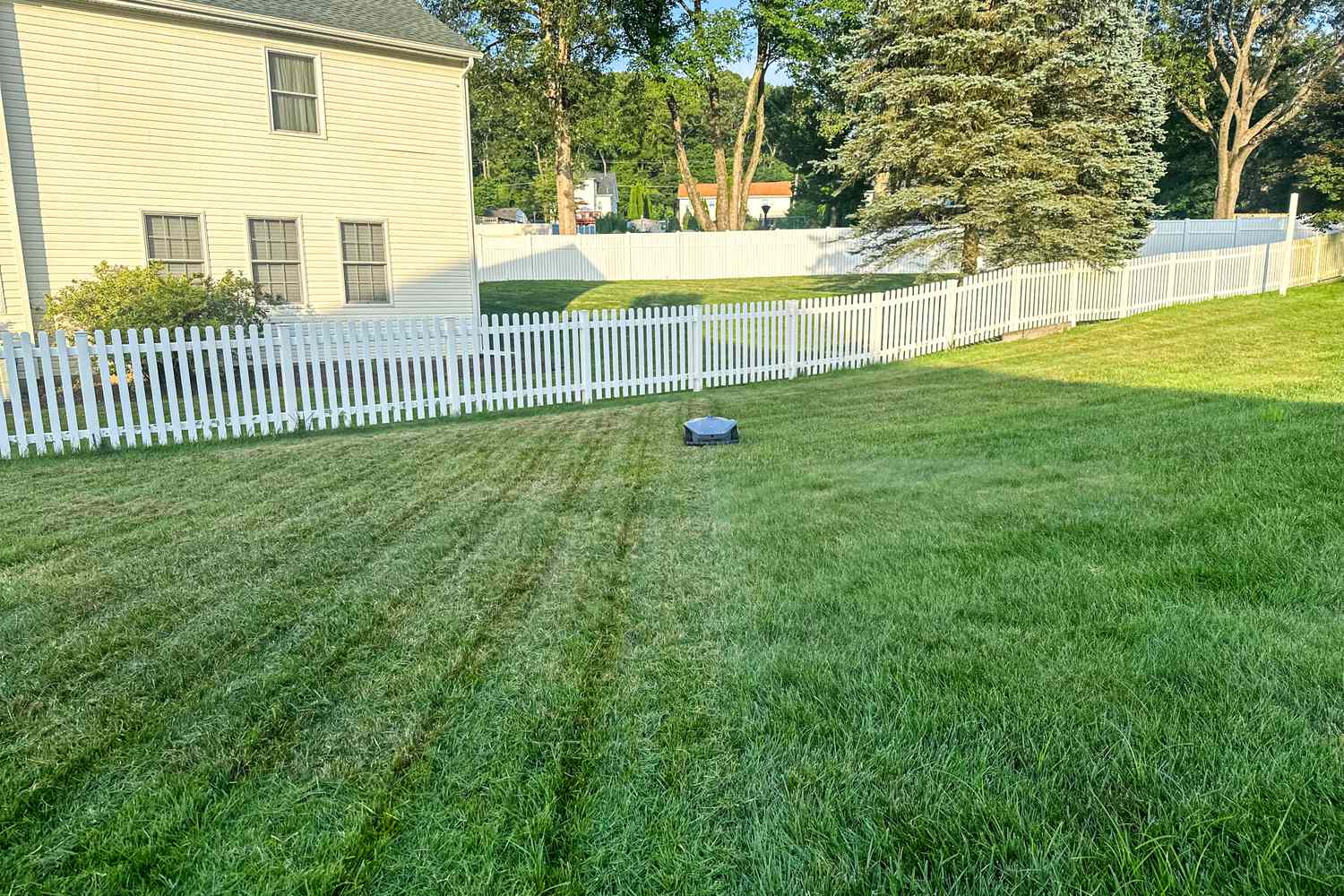 The Hookii Neomow X Pro Robotic Lawn Mower mows a lawn