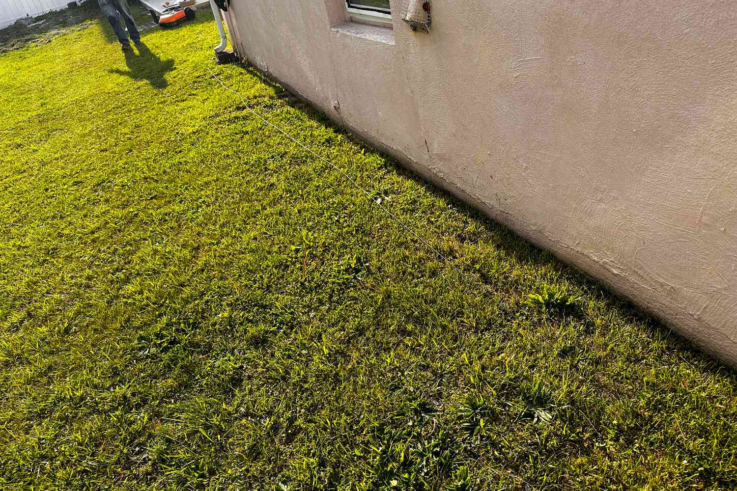 Grass cut using the WORX WR147 Landroid Robotic Lawn Mower